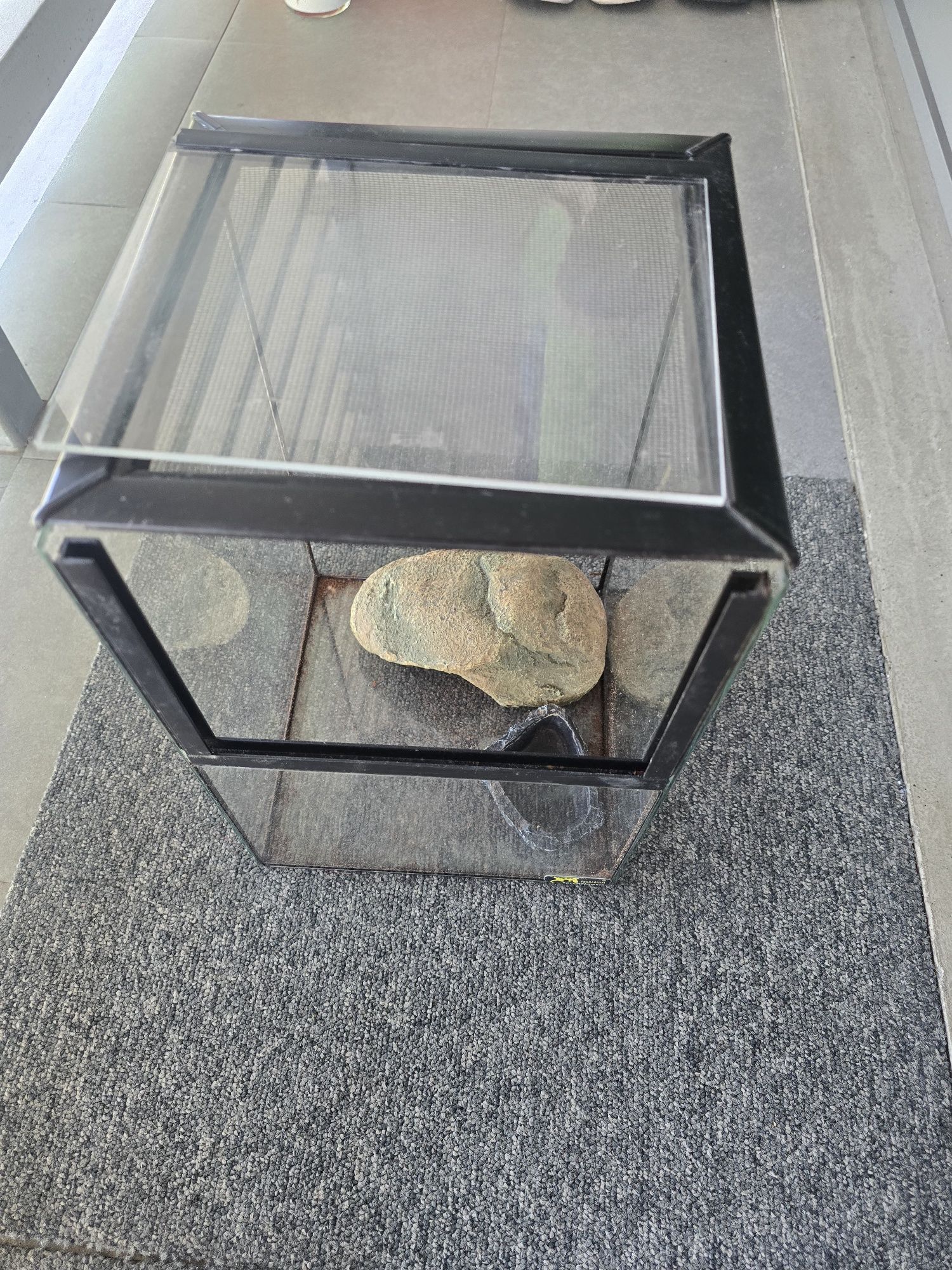 Vendo terrario 20cm por 30cm