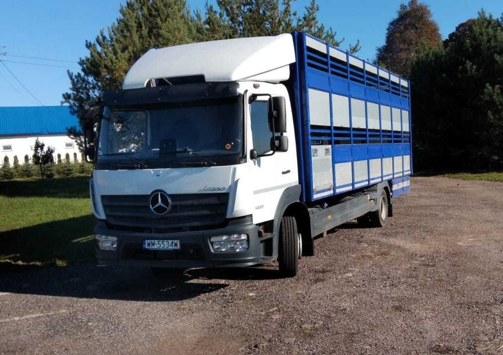 Mercedes Atego 1223, 2019r przebieg 170tys do żywca