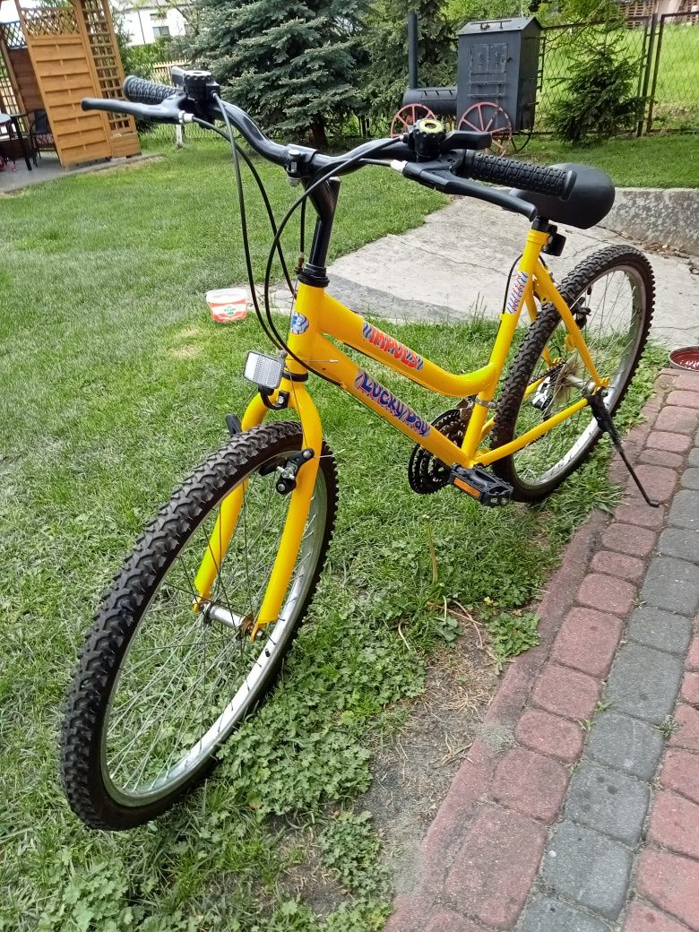 Rower młodzieżowy  26