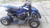 Mini quad 50cc (cross quad)