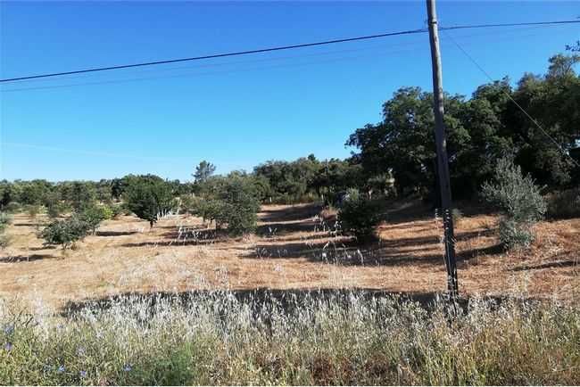 terreno 4ht arronches construção