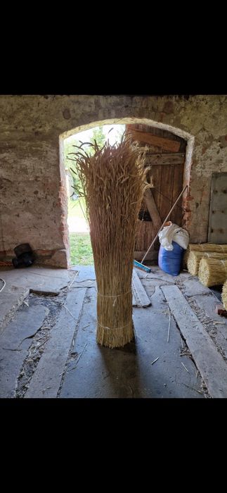 Słoma żytnia  wysyłka kurier  snopek strzecha na pokrycia dachowe strz