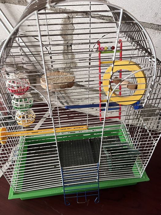 Клітка для папуги з усім наповненням