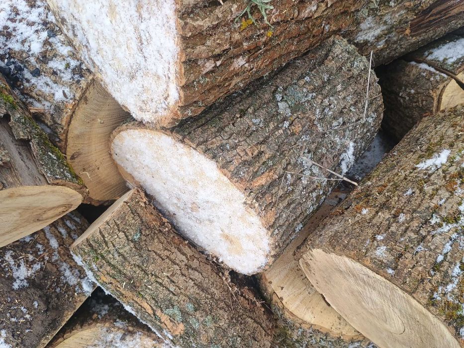 Дрова твердих порід