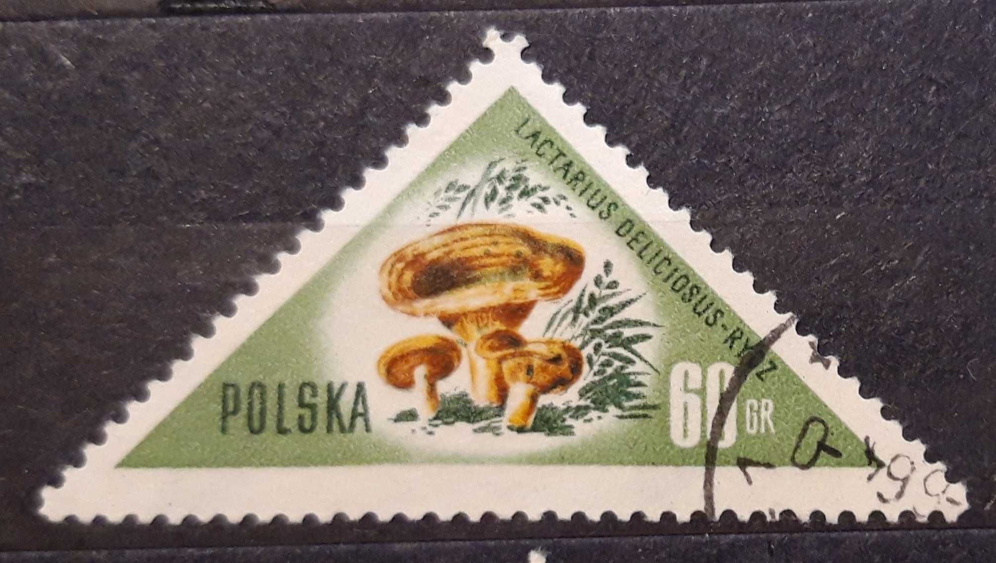 Usterka. Znaczek pocztowy Polska Fi 951. Grzyby. Kasowany. Rok 1959.