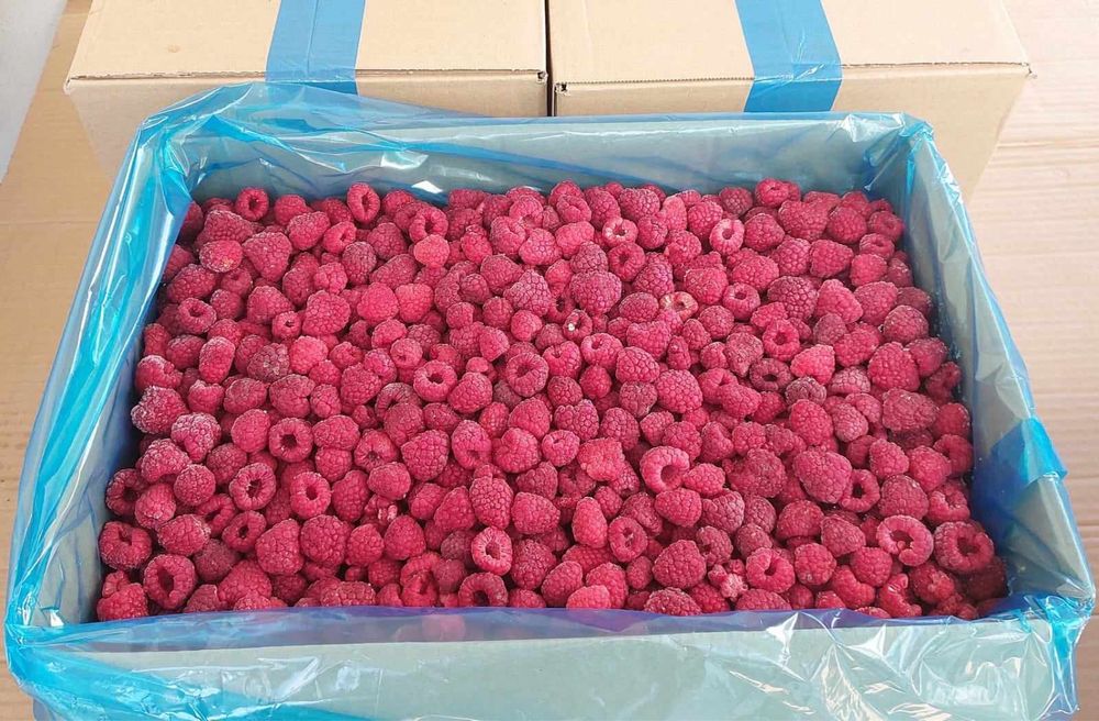 Maliny mrożone cały owoc. Dostarczamy. Swieże w sezonie.