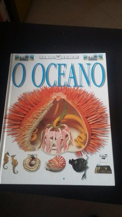 O Oceano
