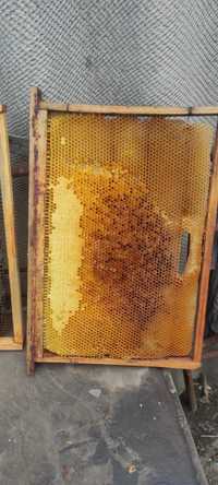 Сушь  медовая пчелиная
