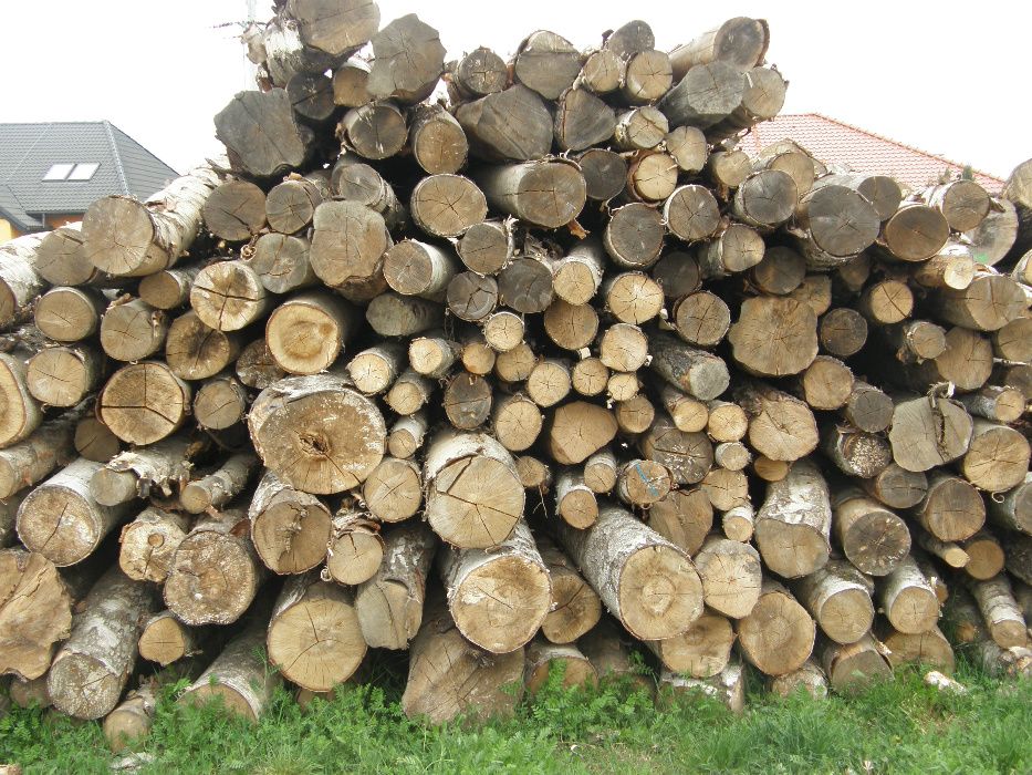 DREWNO kominkowe BUK, GRAB