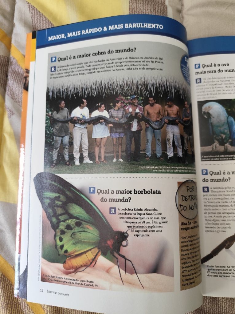 BBC Vida Selvagem - O grande livro das respostas