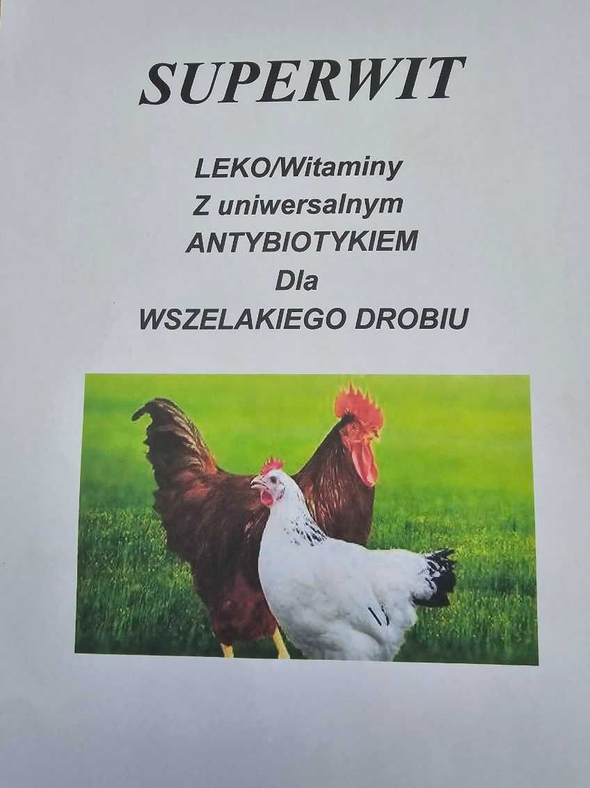 Witaminy lek/antybiotyk dla kur kaczek perliczek brojler drób świata