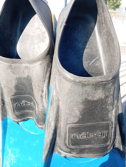 Barbatanas - n.º 46/47