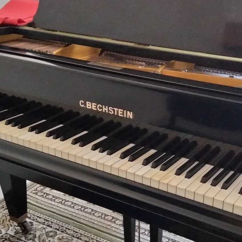 Piano de cauda C. Bechstein