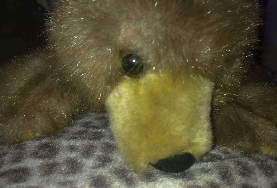 Urso de Peluche - Fofinho - Para oferecer Dias dos Namorados