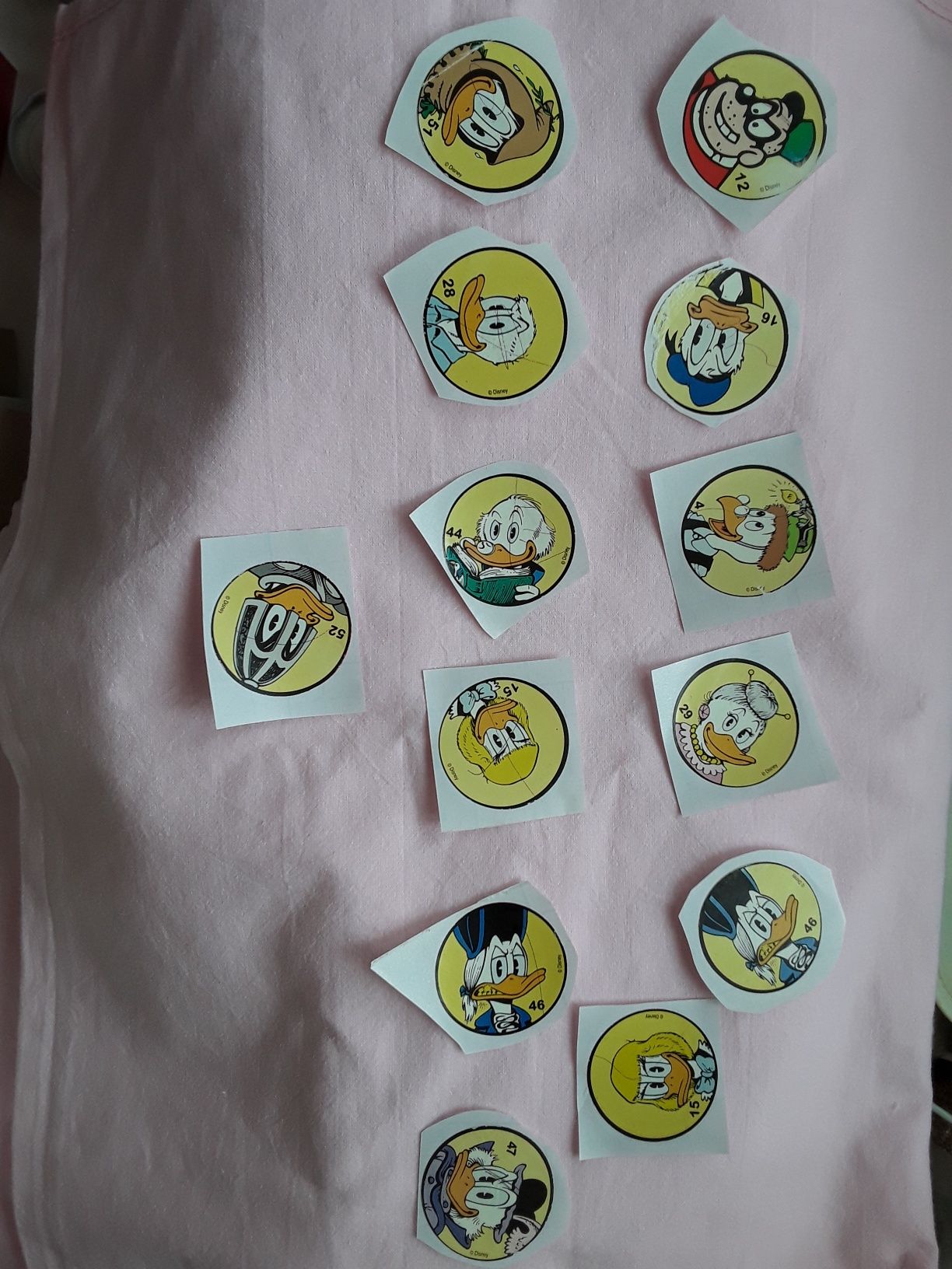 Komiks Kaczor Donald naklejka drzewo genealogiczne