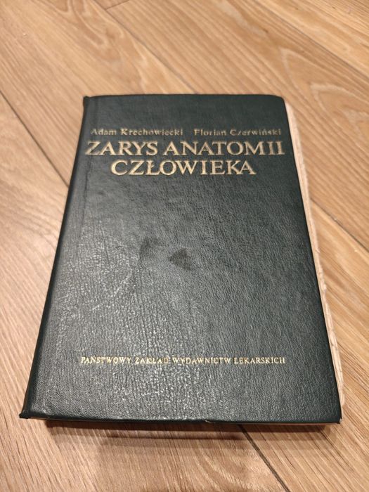 Zarys anatomii człowieka