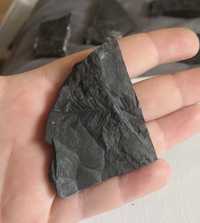 Minerał kamień skamieniałość odbite liście łupek nowa Ruda skamielina