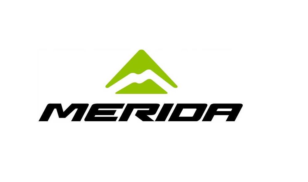 Rower Górski Enduro MERIDA ONE-SIXTY 500 LONG(18) RS Domain
