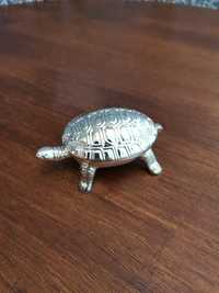 Pequena tartaruga em casquinha