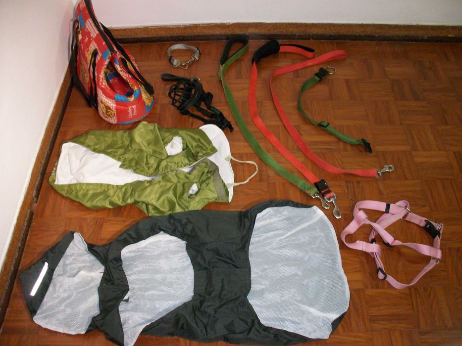 Acessórios Caninos