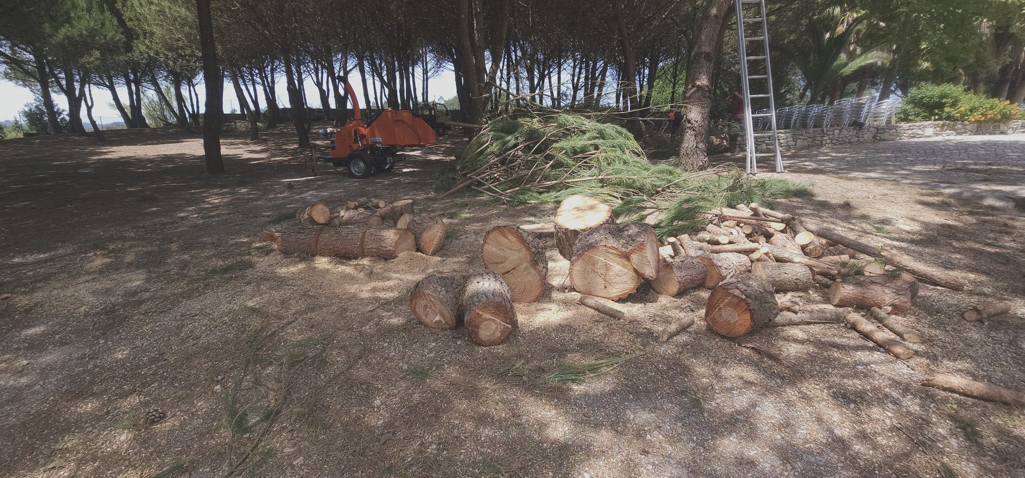 Limpezas de terrenos lavagem de muros e telhados