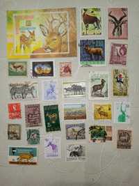 Vários lotes de selos sobre o tema FAUNA