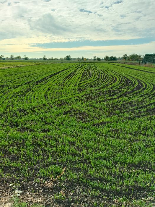 Продам хату,Карпівка.