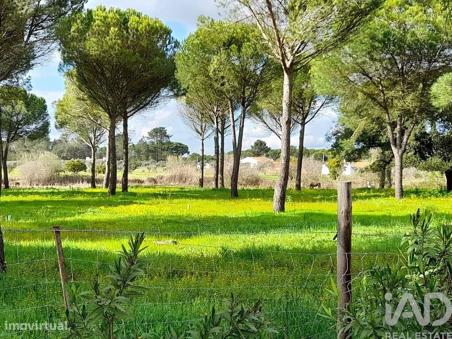 Terreno em Grândola e Santa Margarida da Serra de 41000,00 m2