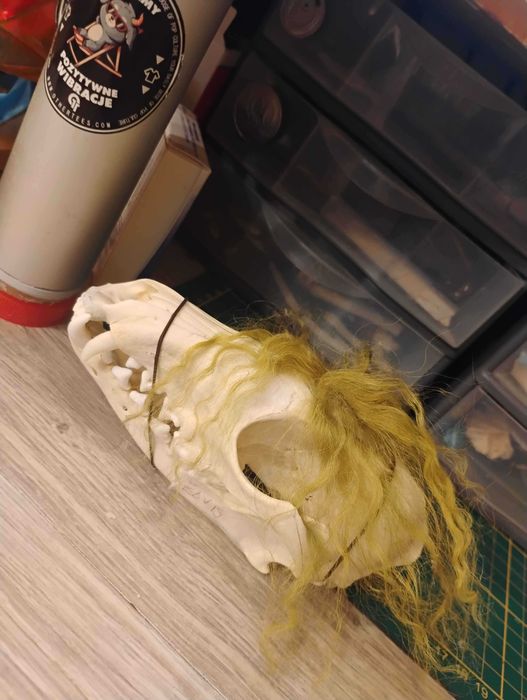 Castomizowana czaszka lisa Elvis