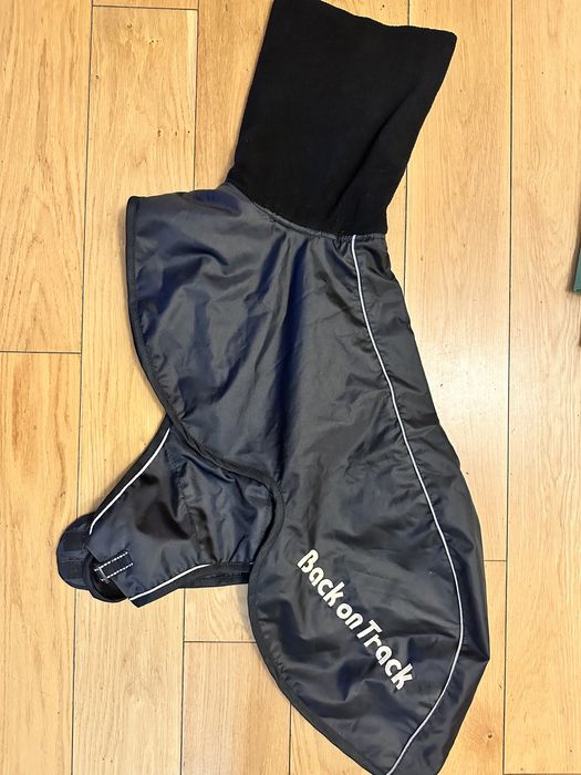 Derka dla Whippeta Back on track