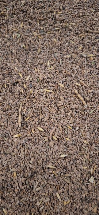 Seradela/saladera do wyczyszczenia