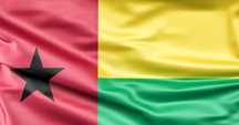 Guine Bissau - Empresa com varios activos para venda