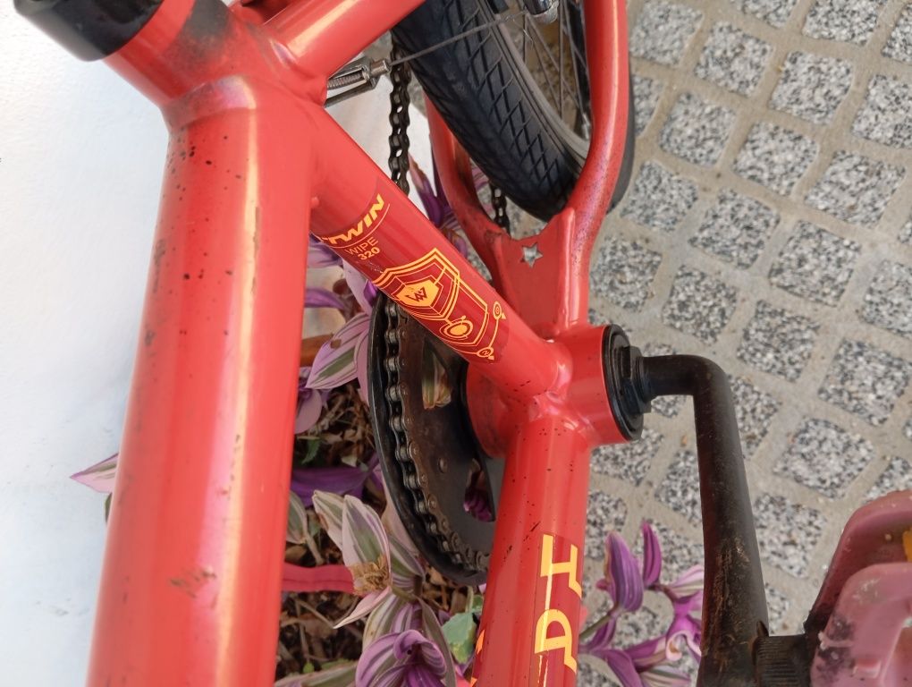 Bicicleta friwstail