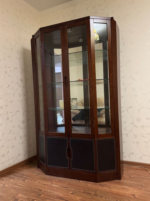 Шафа у вітальню (зі шкіряними вставками)