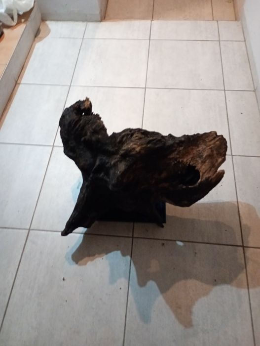 Korzeń do akwarium XXL 20kg !!!