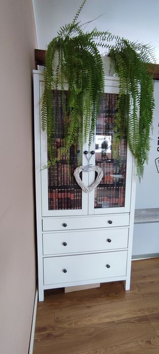 Szafka witryna półka komoda Ikea Hemnes
