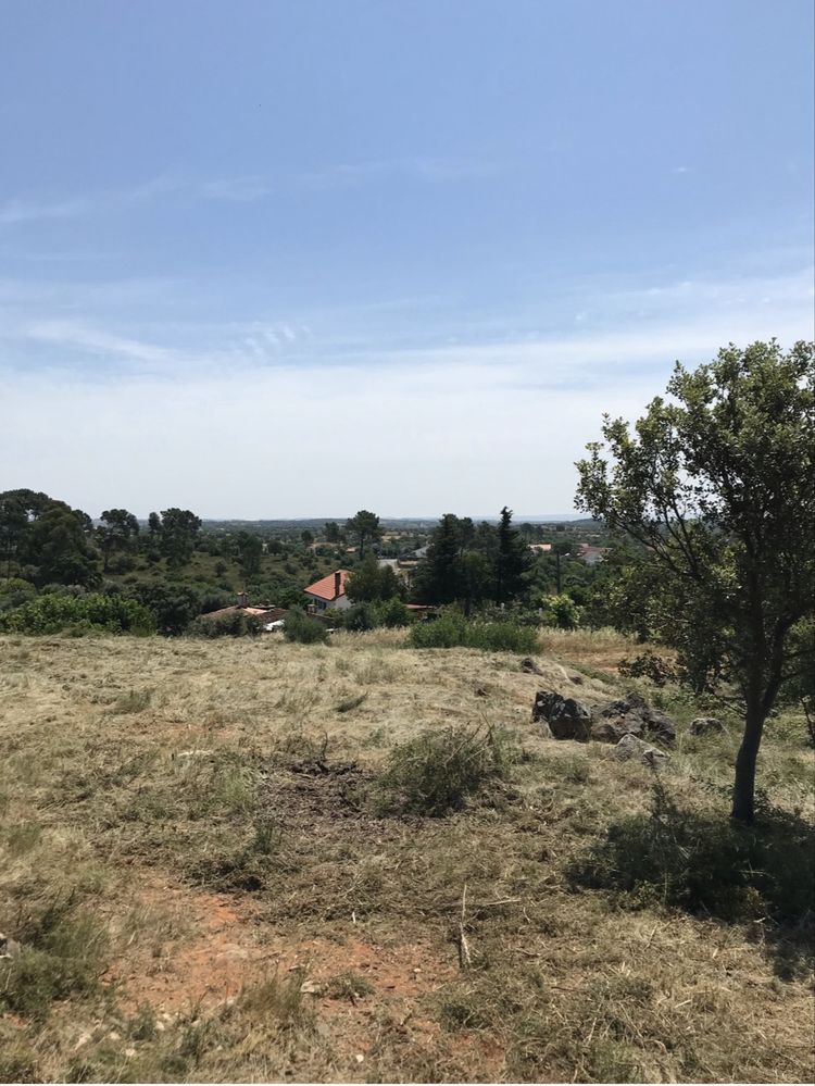 Terreno Rustico - Pedrogao - Serra de Aire e candeeiros