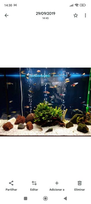 Aquário com móvel 126lt