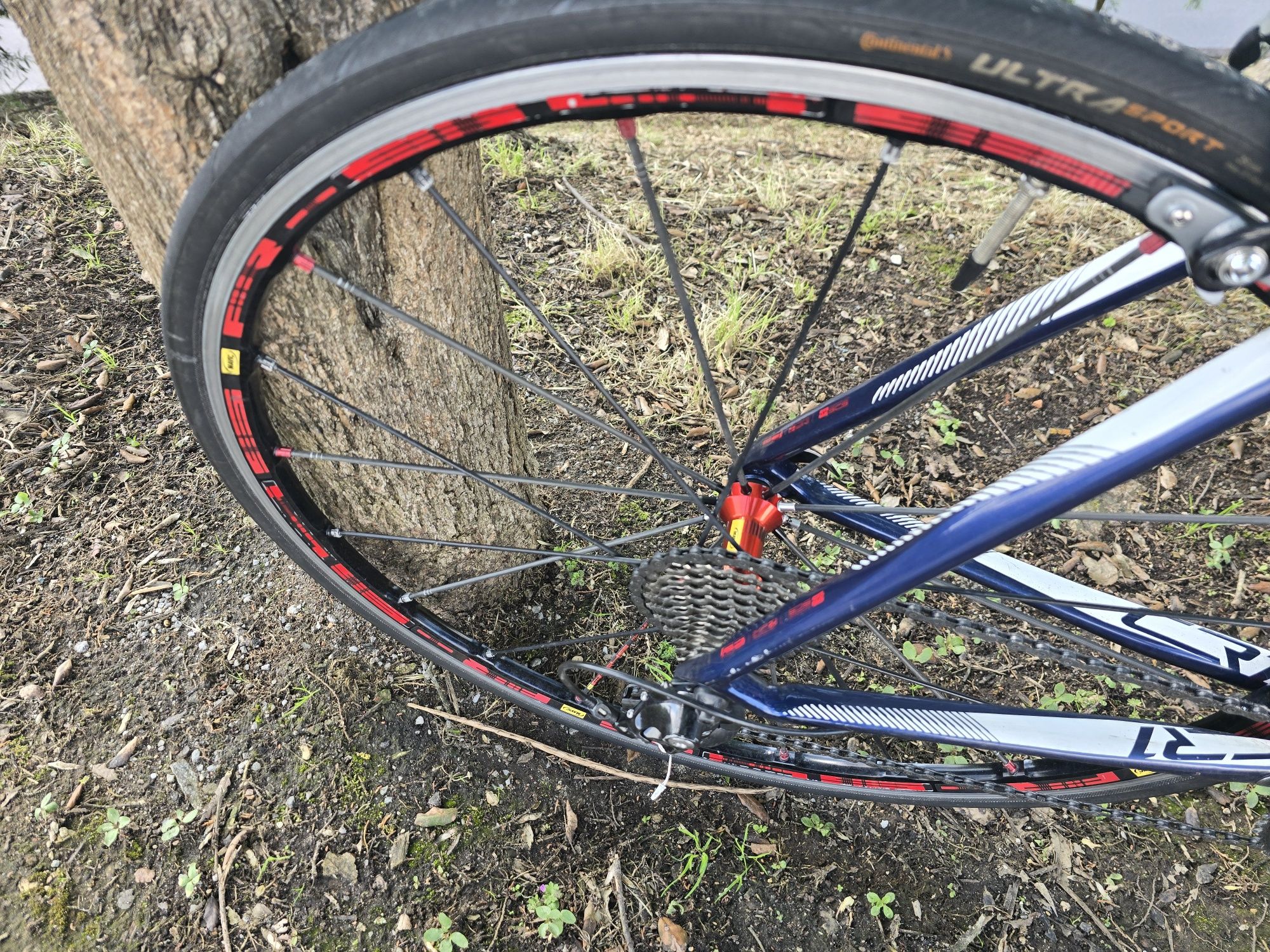 Rodas de estrada mavic r sys de topo