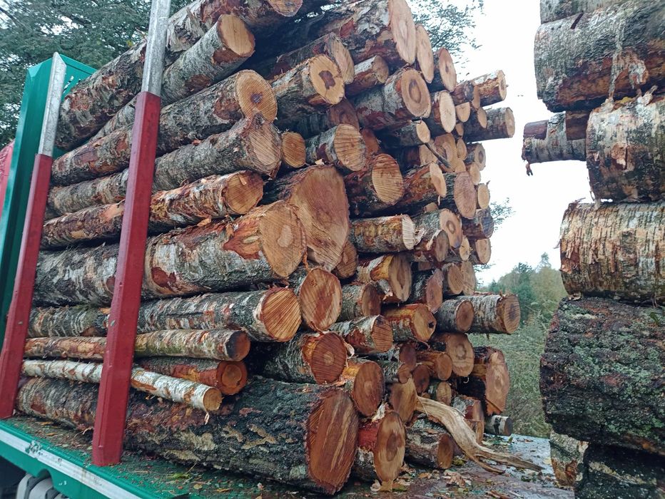 Drewno opałowe ukladane