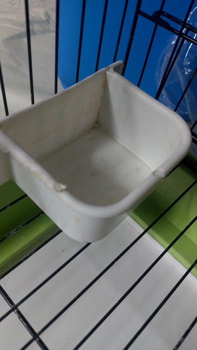 Gaiola Aves domésticas