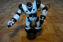 Robosapien robot interaktywny