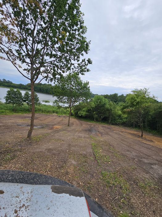 Wycinka drzew,samosiejek,krzakow,Dzierżawa grunow..Usługi Lesne Transp