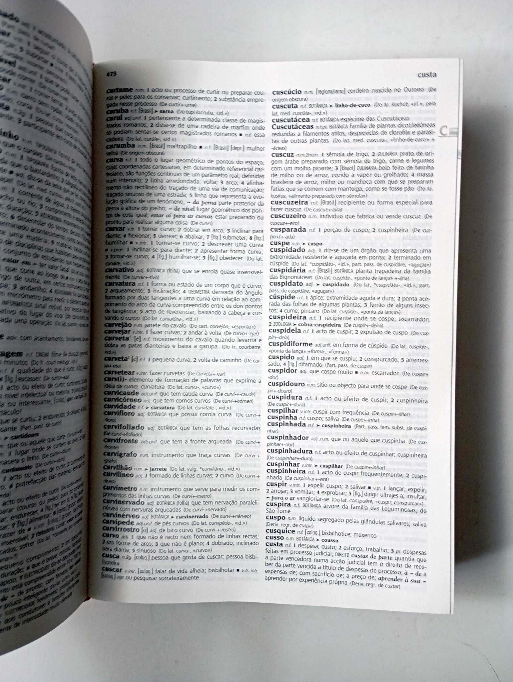 Dicionário da Lingua Portuguesa 2008