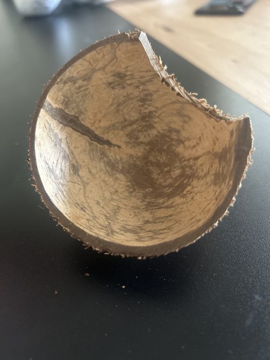 Dois Cocos de aquario