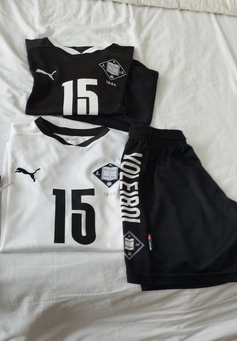 Equipamento de treino voleibol