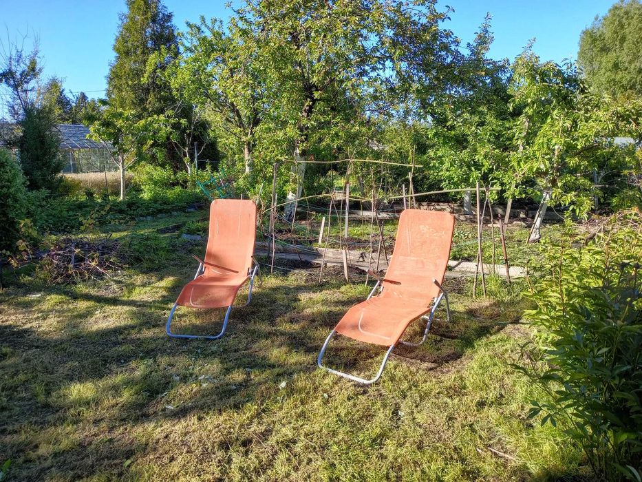 Ogrodek dzialkowy ogrodnicza rekreacyjna ROD Wrzeszcz Hallera Gdańsk