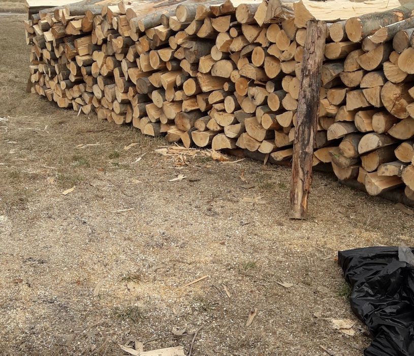 Drewno buk transport gratis kominkowe, opałowe, opał