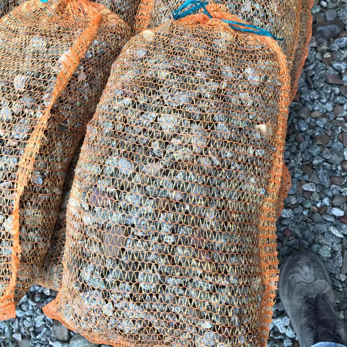 Kamień drenażowy, grys workowany, kruszywo drenarskie, grys, żwir,