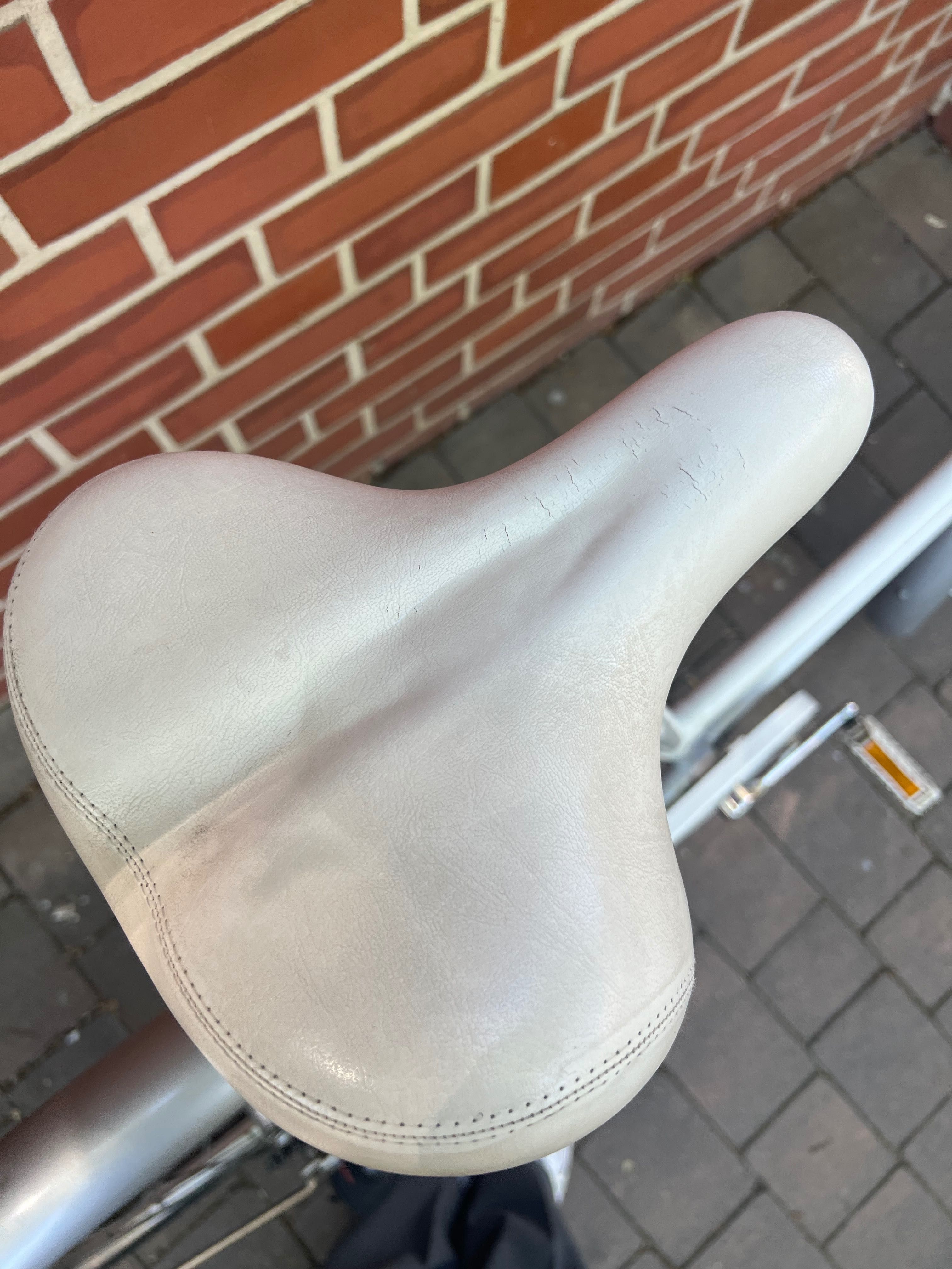 Piękna damka Raleigh